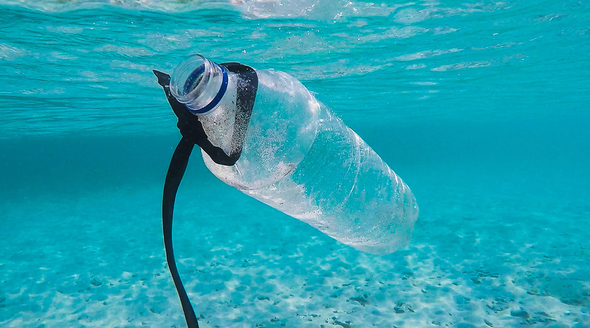 Phasing Out Single-Use Plastics in Grocery Retailing