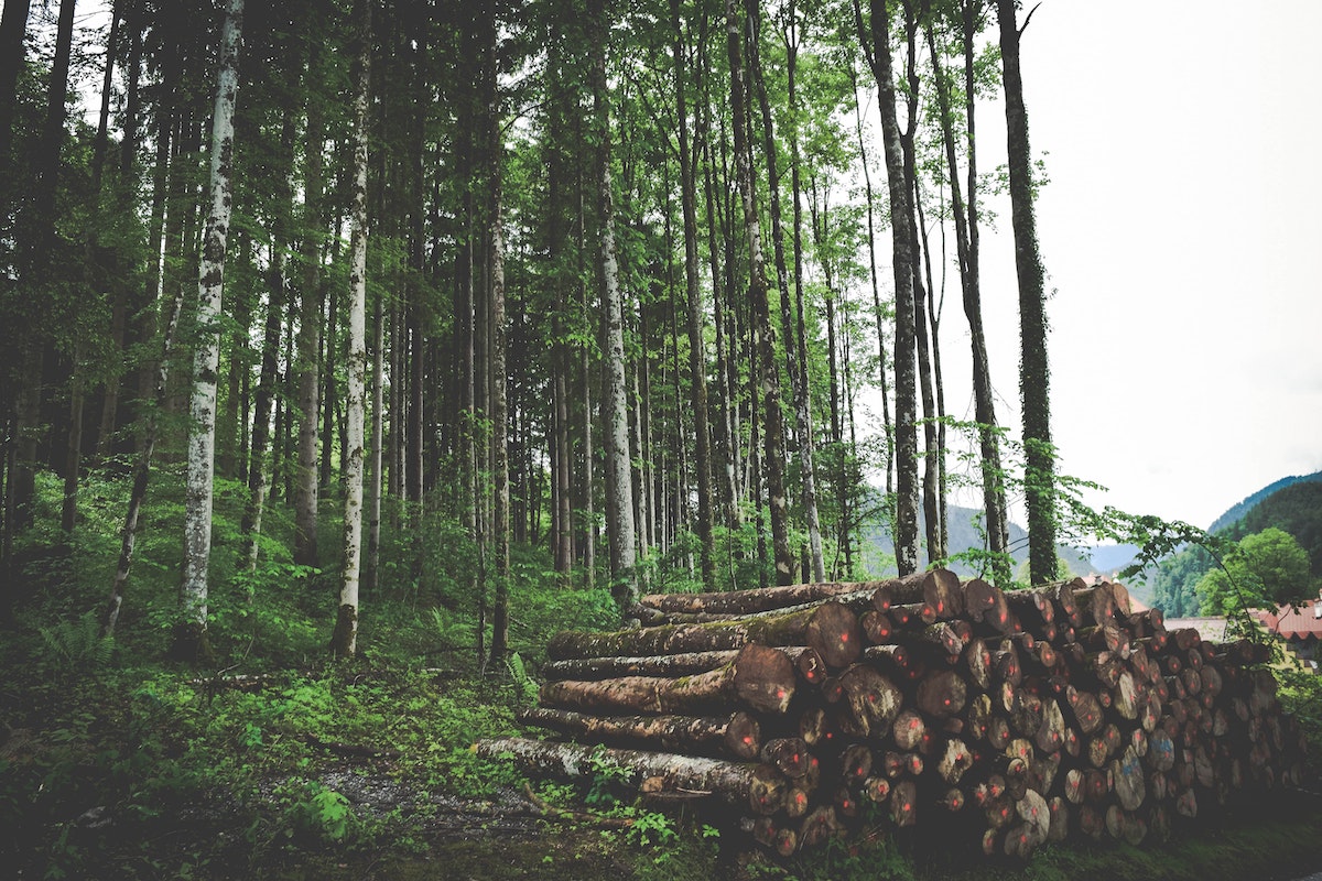 Measuring and Disclosing Corporate Valuations of Impacts and Dependencies on Nature