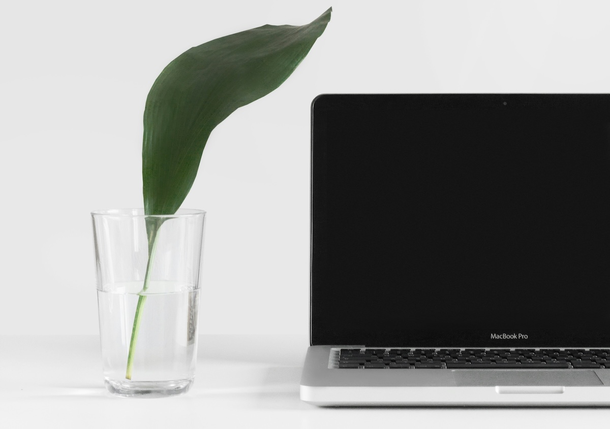 A Co-creative Initiative Towards Open Data for Sustainable Business Practices