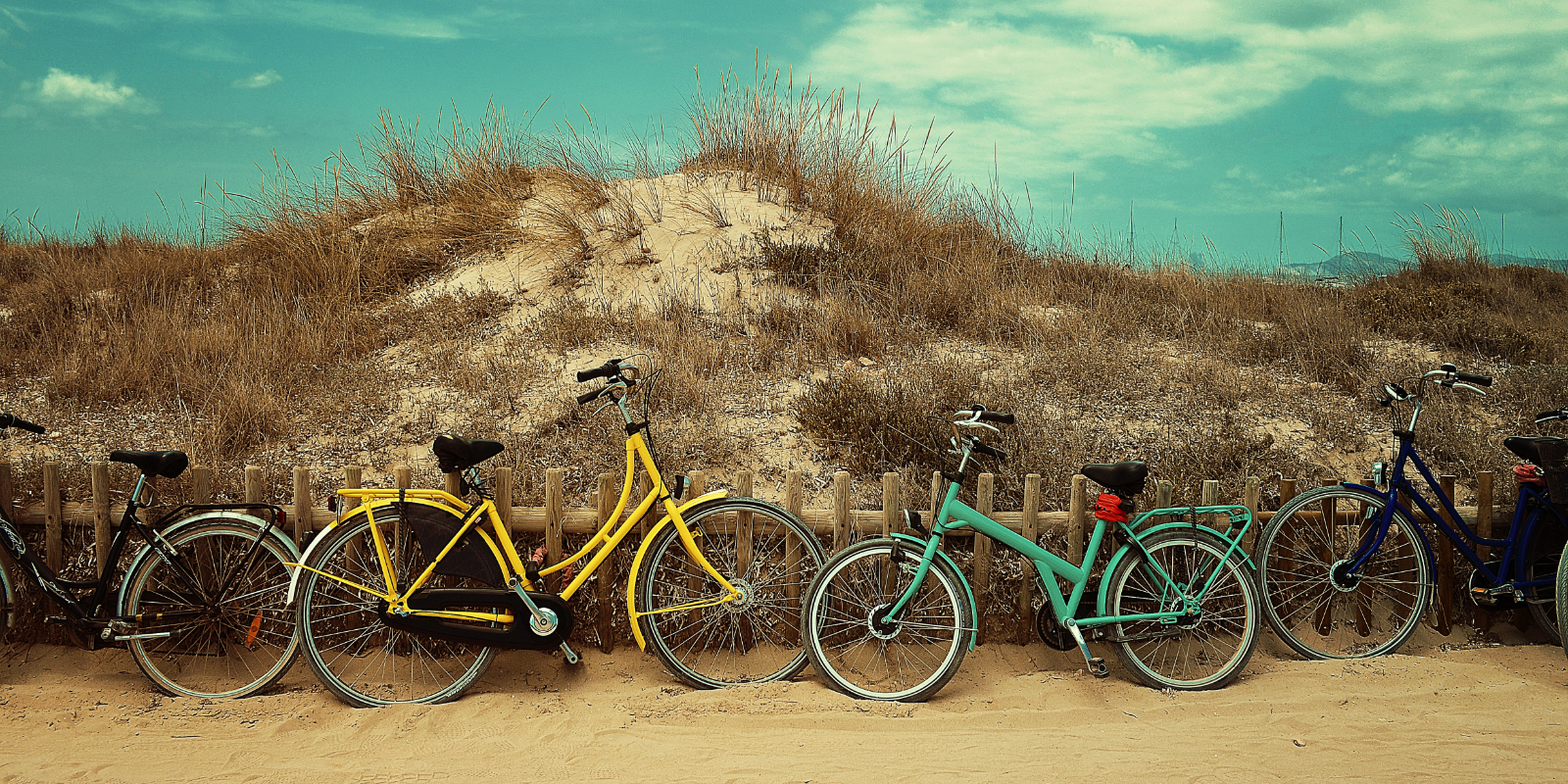 DreamCycles: Sustaining Growth