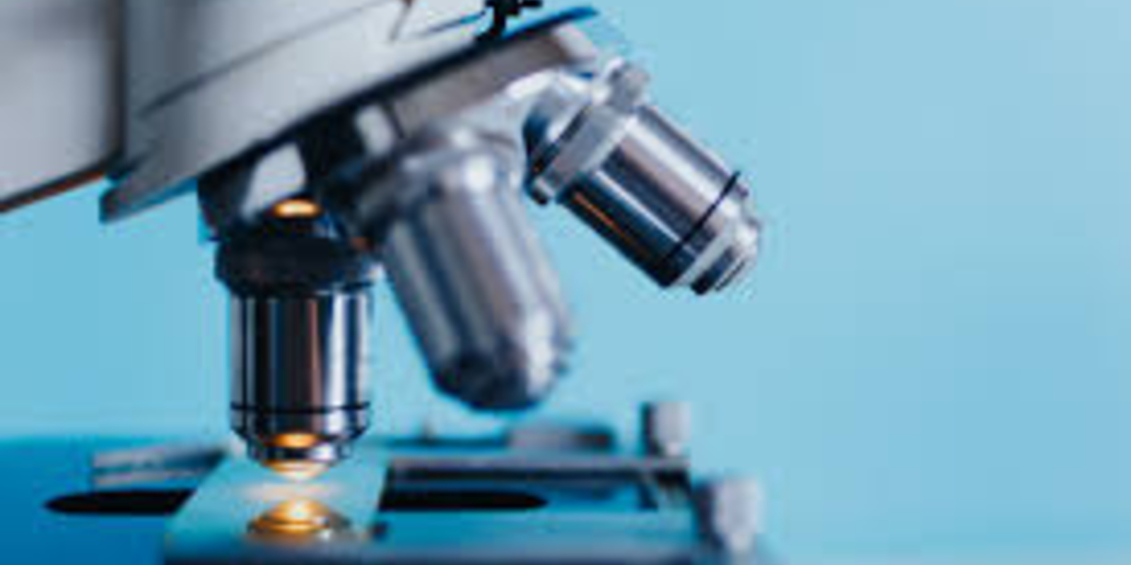 Intellikine: Build-to-Sell in Biotech