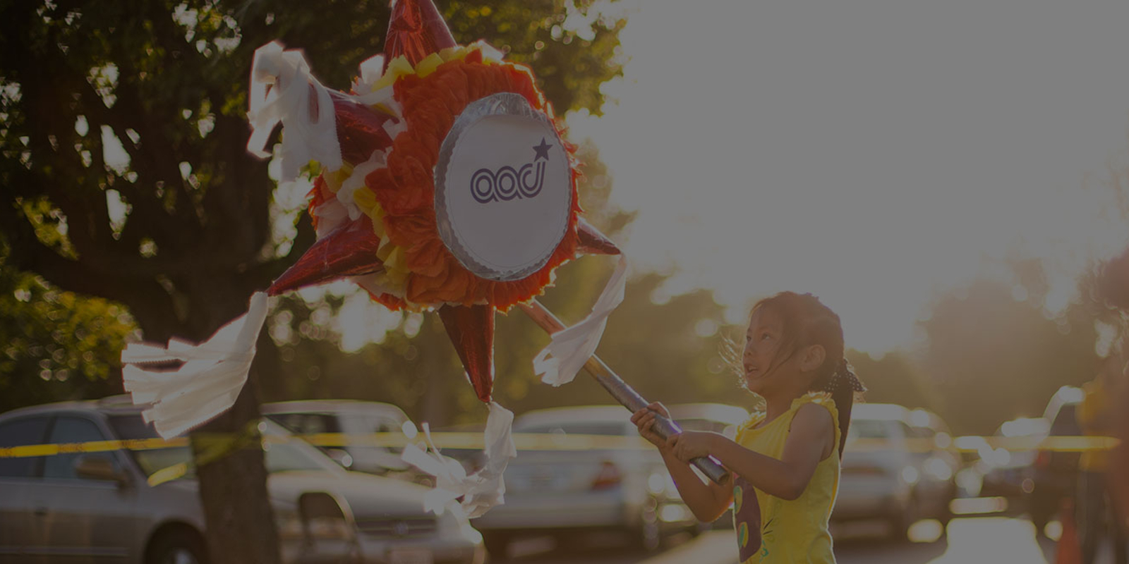 Asian Americans for Community Involvement (AACI): A Strategic Inflection Point