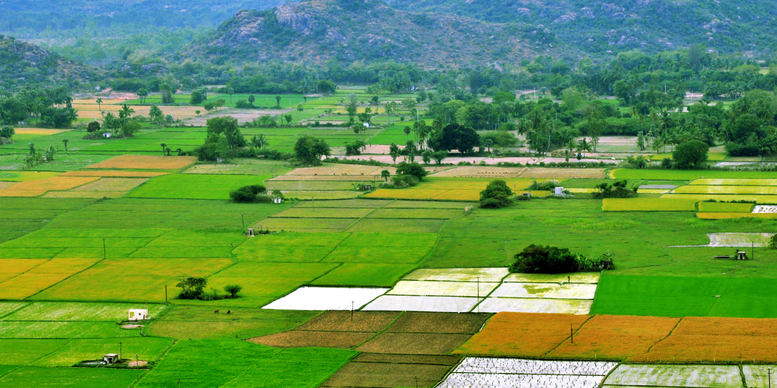 Prototyping a Scalable Smart Village