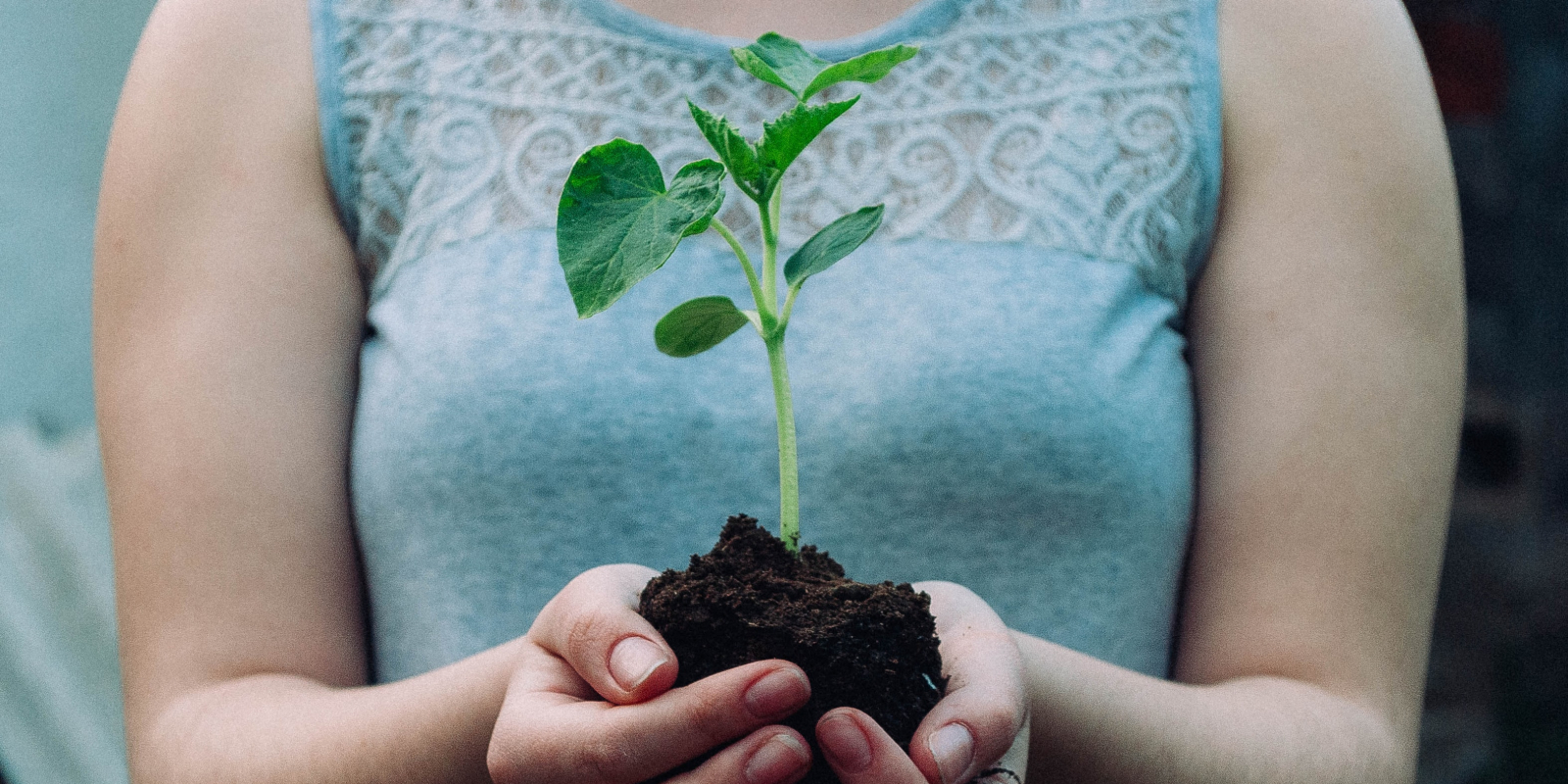 Carbon180: Choosing a Winning Strategy for Carbon Removal