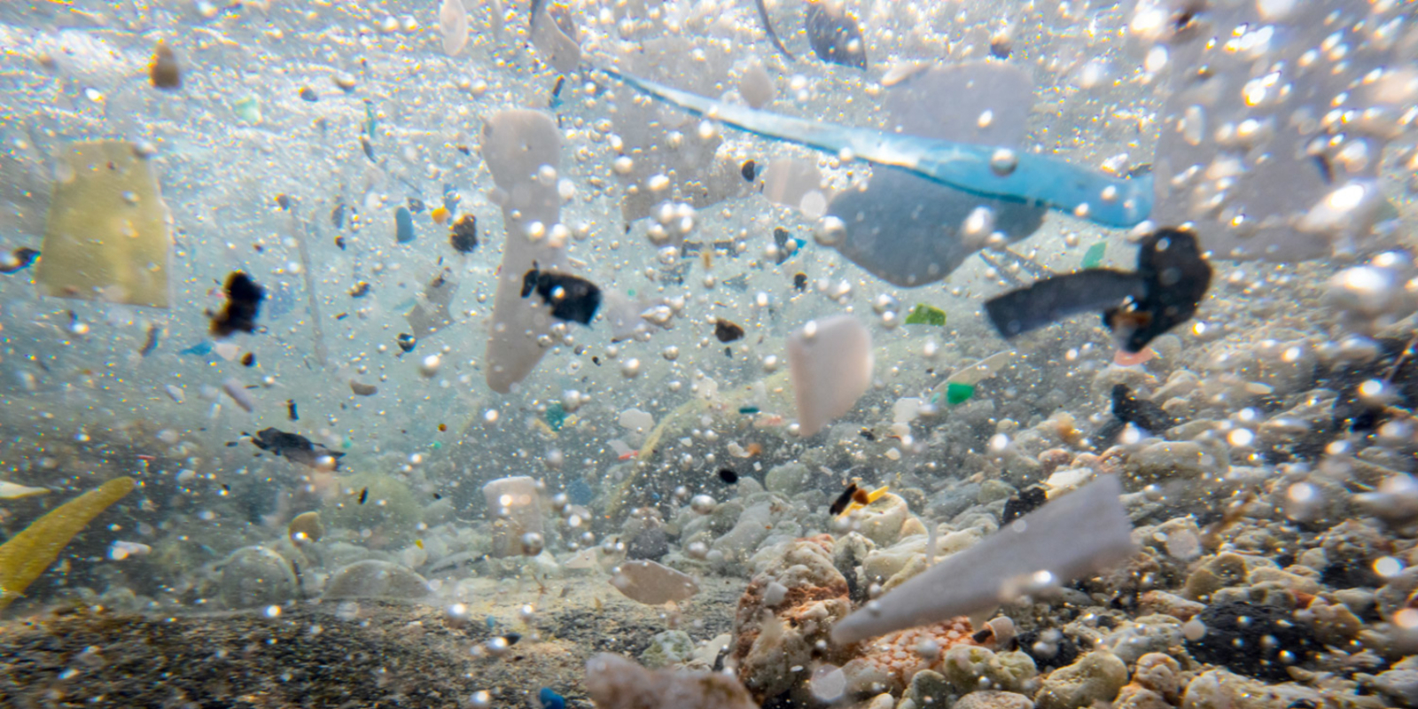 Patagonia: Closing the Loop on Packaging Pollution