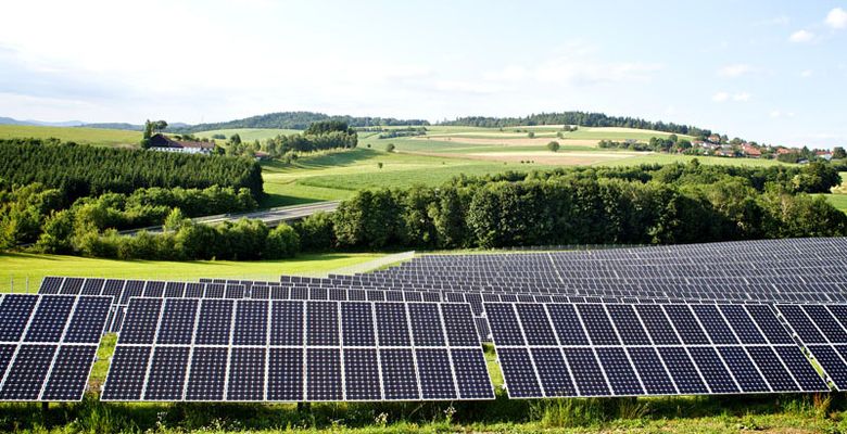 Net Zero Climate Commitments: Realistic Goal or Branding Exercise?