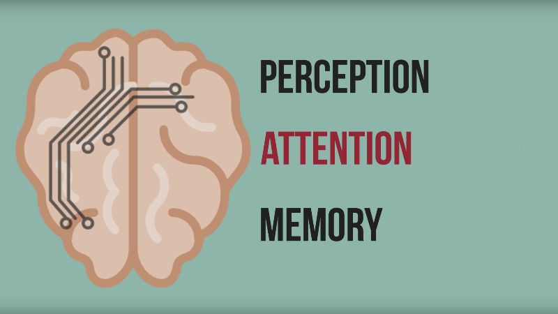 Neuromarketing - Inside the Mind of the Consumer