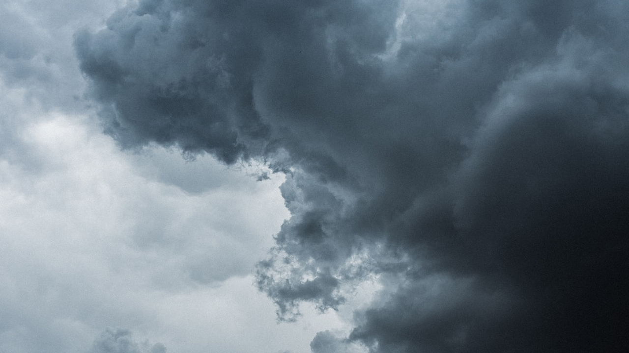 Preparing Organizations for Greater Turbulence