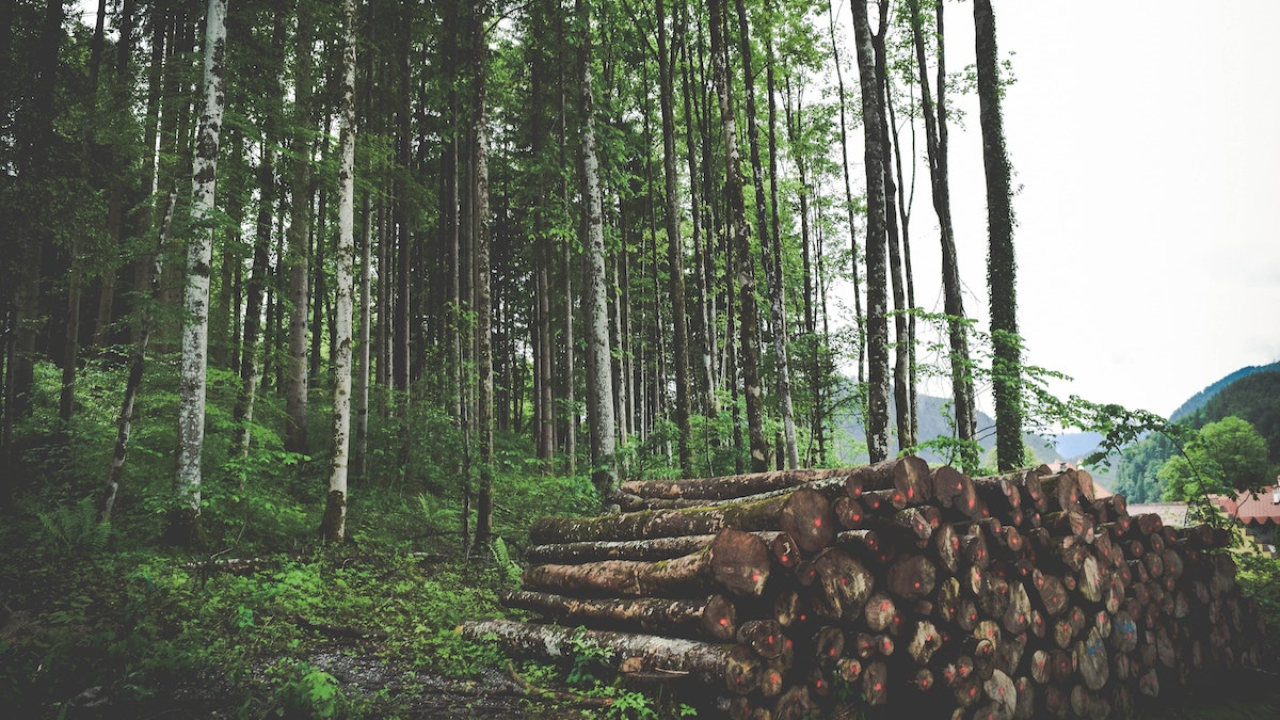 Measuring and Disclosing Corporate Valuations of Impacts and Dependencies on Nature